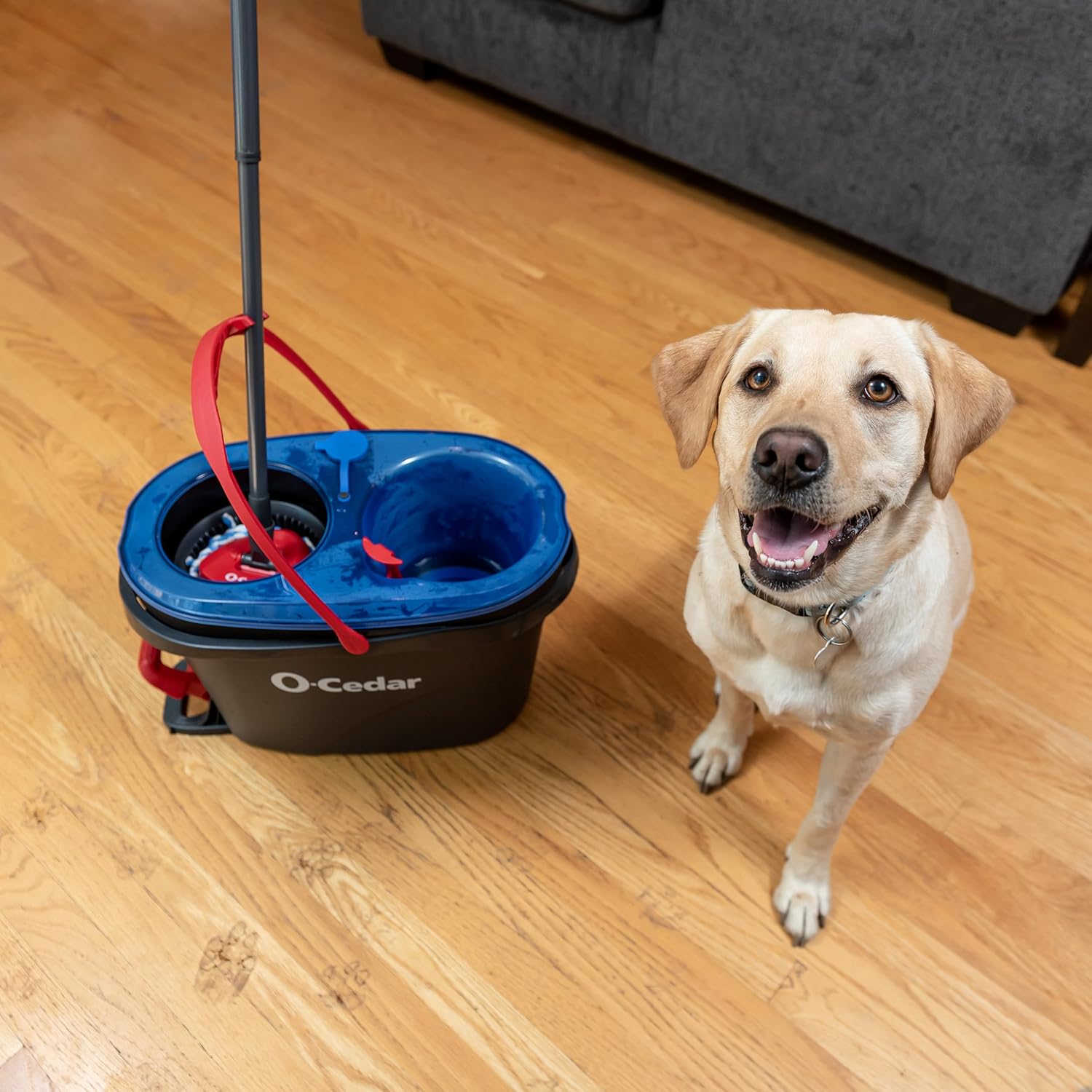 O-Cedar RinseClean Spin Mop & Bucket System + 2 Extra Mop Heads| Clean with Clean Water | Removes 99% of Bacteria